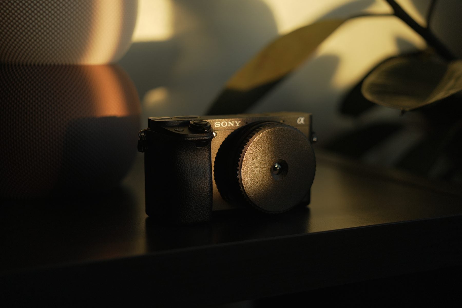 The RetroDispo Pro prototype on a Sony camera